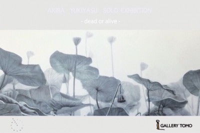 Akira Yukiyasu 2018